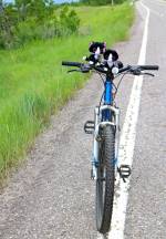 Bicycle built for two minions?  -)