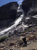 Tuxedo Joseph visits a waterfall in Banff National Park, Alberta