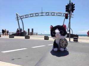 Surfer's Paradise, Gold Coast, Queensland, Australia