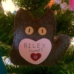 Riley Abramovitch (woof)