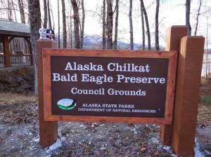 Minions at Chilkat Eagle Preserve, Haines, Alaska