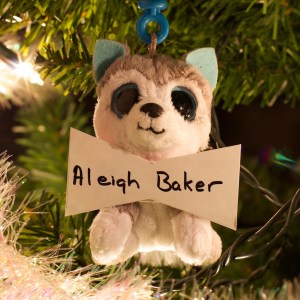 Aleigh Baker